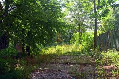 Park Jalu Kurka: przyroda „wzięła sprawy w swoje ręce” - zdjęcie 35