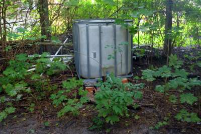 Park Jalu Kurka: przyroda „wzięła sprawy w swoje ręce” - zdjęcie 11