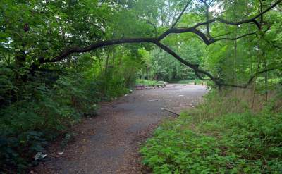 Park Jalu Kurka: przyroda „wzięła sprawy w swoje ręce” - zdjęcie 21