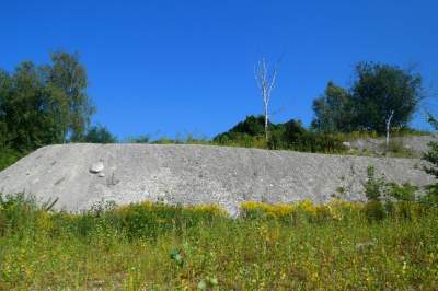 Obiektyw Lasyka: Dzika przyroda Białych Mórz - zdjęcie 12