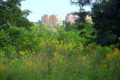 Obiektyw Lasyka: Dzika przyroda Białych Mórz - zdjęcie 5