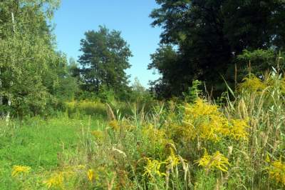 Obiektyw Lasyka: Dzika przyroda Białych Mórz - zdjęcie 2