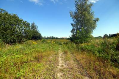 Obiektyw Lasyka: Dzika przyroda Białych Mórz - zdjęcie 33