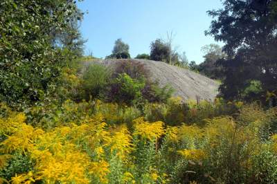 Obiektyw Lasyka: Dzika przyroda Białych Mórz - zdjęcie 23