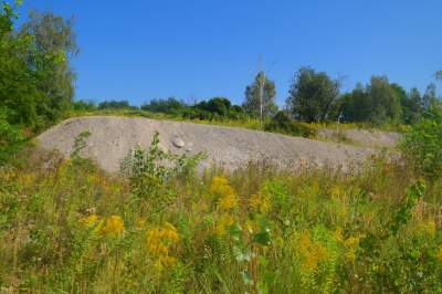 Obiektyw Lasyka: Dzika przyroda Białych Mórz - zdjęcie 10