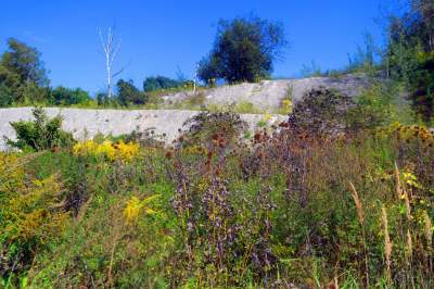 Obiektyw Lasyka: Dzika przyroda Białych Mórz - zdjęcie 13