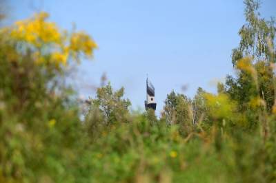 Obiektyw Lasyka: Dzika przyroda Białych Mórz - zdjęcie 30