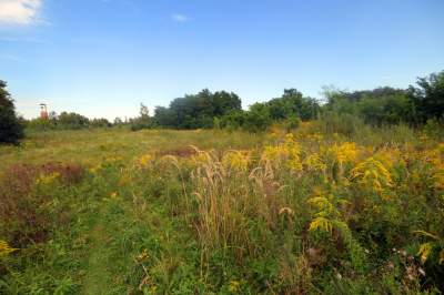 Obiektyw Lasyka: Dzika przyroda Białych Mórz - zdjęcie 14
