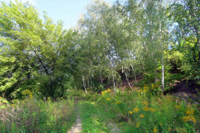 Obiektyw Lasyka: Dzika przyroda Białych Mórz - zdjęcie 22