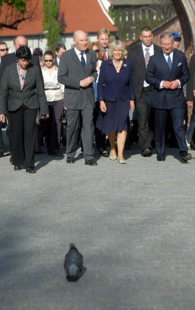 Dziś jest królem, trzy razy odwiedził Kraków - zdjęcie 16