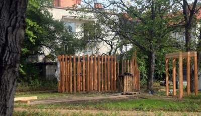 Róże znów zakwitły. W najdłuższym parku w  Polsce ciągle coś się zmienia - zdjęcie 10