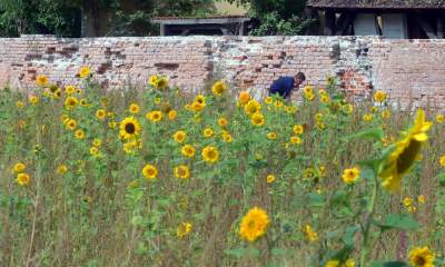 Cóż to wyrosło na terenie tworzonego parku im. Szymborskiej? Zgodnie z planem... - zdjęcie 20
