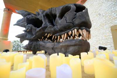 Żelazny Tron, a w Smoczej Jamie dziesiątki jaj. Tylko do niedzieli - zdjęcie 12