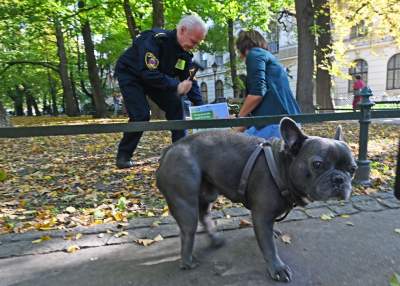 „Nie KUPuj trawy, sprzątaj po swoim psie!” Ta akcja będzie skuteczna? - zdjęcie 4