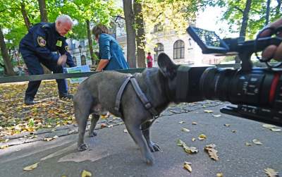 „Nie KUPuj trawy, sprzątaj po swoim psie!” Ta akcja będzie skuteczna? - zdjęcie 5