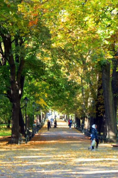 Piękna jesień w Krakowie nabiera kolorów - zdjęcie 16