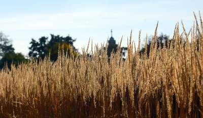 Piękna jesień w Krakowie nabiera kolorów - zdjęcie 9