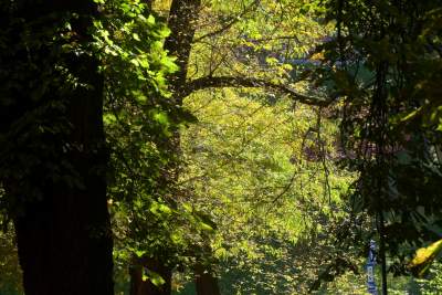 Piękna jesień w Krakowie nabiera kolorów - zdjęcie 15