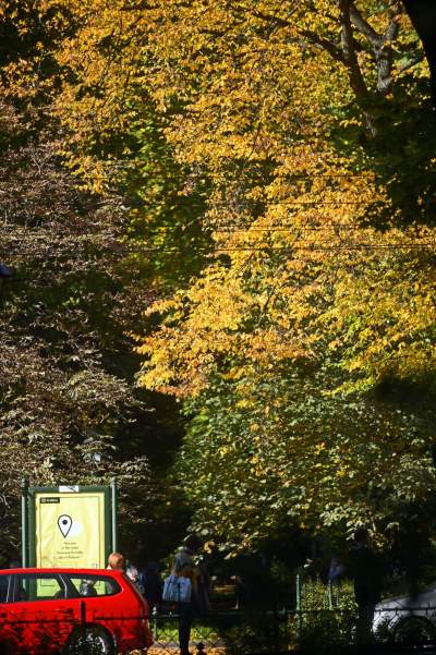 Piękna jesień w Krakowie nabiera kolorów - zdjęcie 24