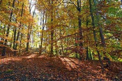 Jeden z najpiękniejszych parków w Krakowie. Kiedy zostanie otwarty? - zdjęcie 1