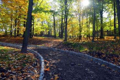 Jeden z najpiękniejszych parków w Krakowie. Kiedy zostanie otwarty? - zdjęcie 2