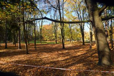 Jeden z najpiękniejszych parków w Krakowie. Kiedy zostanie otwarty? - zdjęcie 12