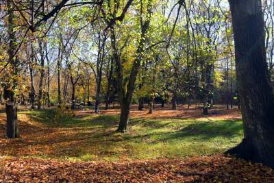 Jeden z najpiękniejszych parków w Krakowie. Kiedy zostanie otwarty? - zdjęcie 8