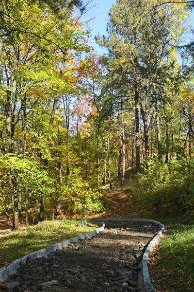 Jeden z najpiękniejszych parków w Krakowie. Kiedy zostanie otwarty? - zdjęcie 4