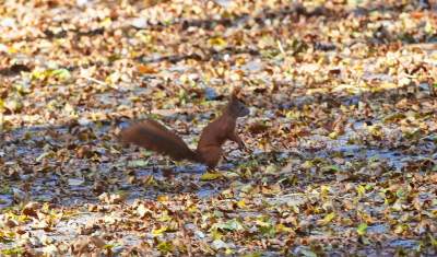 Jeden z najpiękniejszych parków w Krakowie. Kiedy zostanie otwarty? - zdjęcie 9
