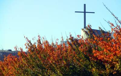 Wiśniowa aleja w Bronowicach jesienią też ma swój urok... - zdjęcie 9