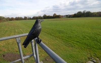 Uroczyste rozpczęcie prac przy zabezpieczaniu Serafy, fot. Marek Lasyk - zdjęcie 6