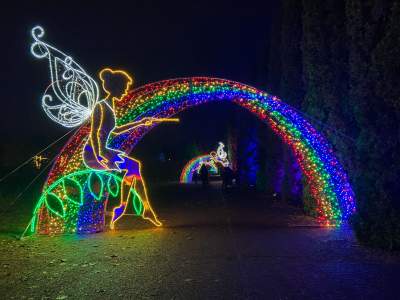 W piątek otwarcie Ogrodu Świateł, w tym sezonie bohaterem Piotruś Pan - zdjęcie 7