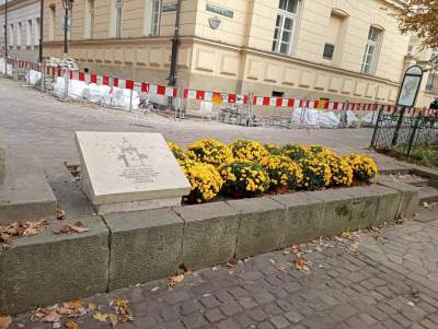 Skąd chryzantemy na krakowskich Plantach? Znakomita inicjatywa - zdjęcie 2