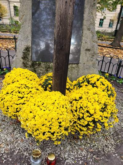 Skąd chryzantemy na krakowskich Plantach? Znakomita inicjatywa - zdjęcie 7