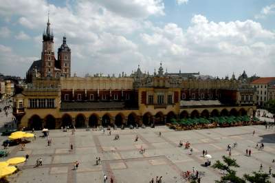 „Spieszmy się oglądać Rynek takim jakim jest, tak szybko zarasta” - zdjęcie 14
