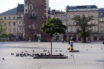 „Spieszmy się oglądać Rynek takim jakim jest, tak szybko zarasta” - zdjęcie 7