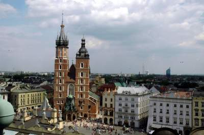 „Spieszmy się oglądać Rynek takim jakim jest, tak szybko zarasta” - zdjęcie 3