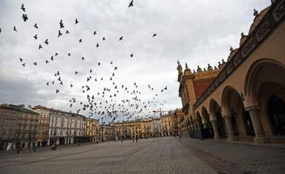 „Spieszmy się oglądać Rynek takim jakim jest, tak szybko zarasta” - zdjęcie 13