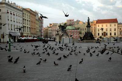 „Spieszmy się oglądać Rynek takim jakim jest, tak szybko zarasta” - zdjęcie 5