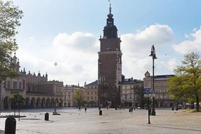 „Spieszmy się oglądać Rynek takim jakim jest, tak szybko zarasta” - zdjęcie 6
