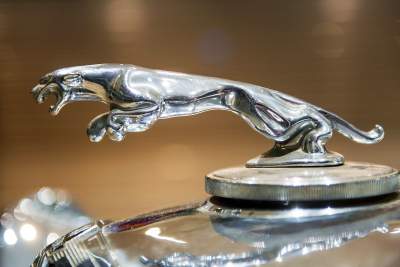 Po prostu Jaguar: jedyna taka wystawa w Polsce - zdjęcie 5