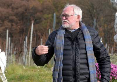 Święto młodego, polskiego wina, świętomarcińskiego z Krakowa - zdjęcie 13