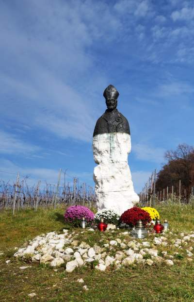 Święto młodego, polskiego wina, świętomarcińskiego z Krakowa - zdjęcie 15