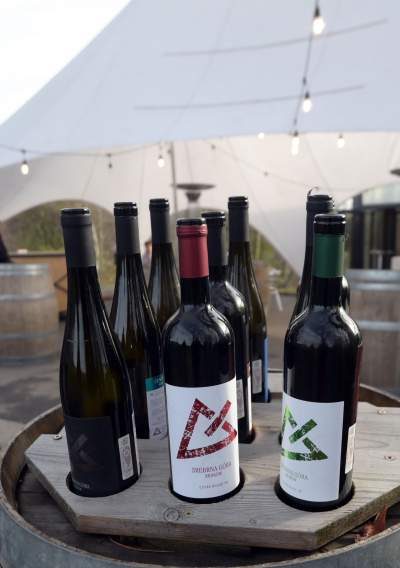 Święto młodego, polskiego wina, świętomarcińskiego z Krakowa - zdjęcie 5