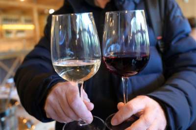 Święto młodego, polskiego wina, świętomarcińskiego z Krakowa - zdjęcie 25