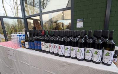 Święto młodego, polskiego wina, świętomarcińskiego z Krakowa - zdjęcie 4
