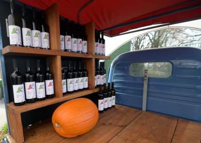 Święto młodego, polskiego wina, świętomarcińskiego z Krakowa - zdjęcie 1