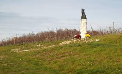 Święto młodego, polskiego wina, świętomarcińskiego z Krakowa - zdjęcie 7