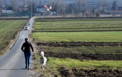 Unikatowe miejsce w Krakowie. Ma swój wyjątkowy urok - zdjęcie 8