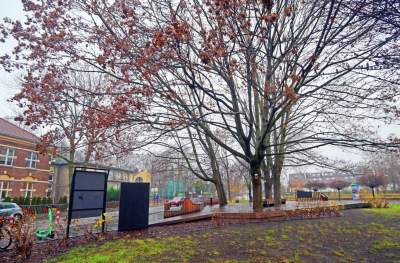 Szafa komiksowa, w środku prawdziwe skarby, fot. Marek Lasyk - zdjęcie 2